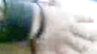 花花公子華麗的金發女郎舔金發女郎，並讓她吸吮色情片