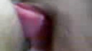 寶貝吮吸大多汁的公雞色情